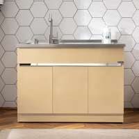 G110-2 Simple Modern Gold Stainless Steel Laundry Closet Basin Cabinet